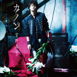 美女主播野外交配
