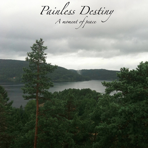 美女主播野外交配
